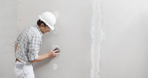 Best Residential Mold Inspection & Testing  in Madison, SD